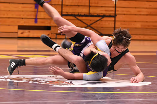 Wrestling